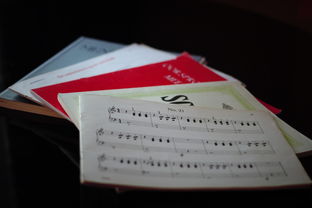 开云下载-中小学体育课程内容优化实践，中小学体育课程一体化研究